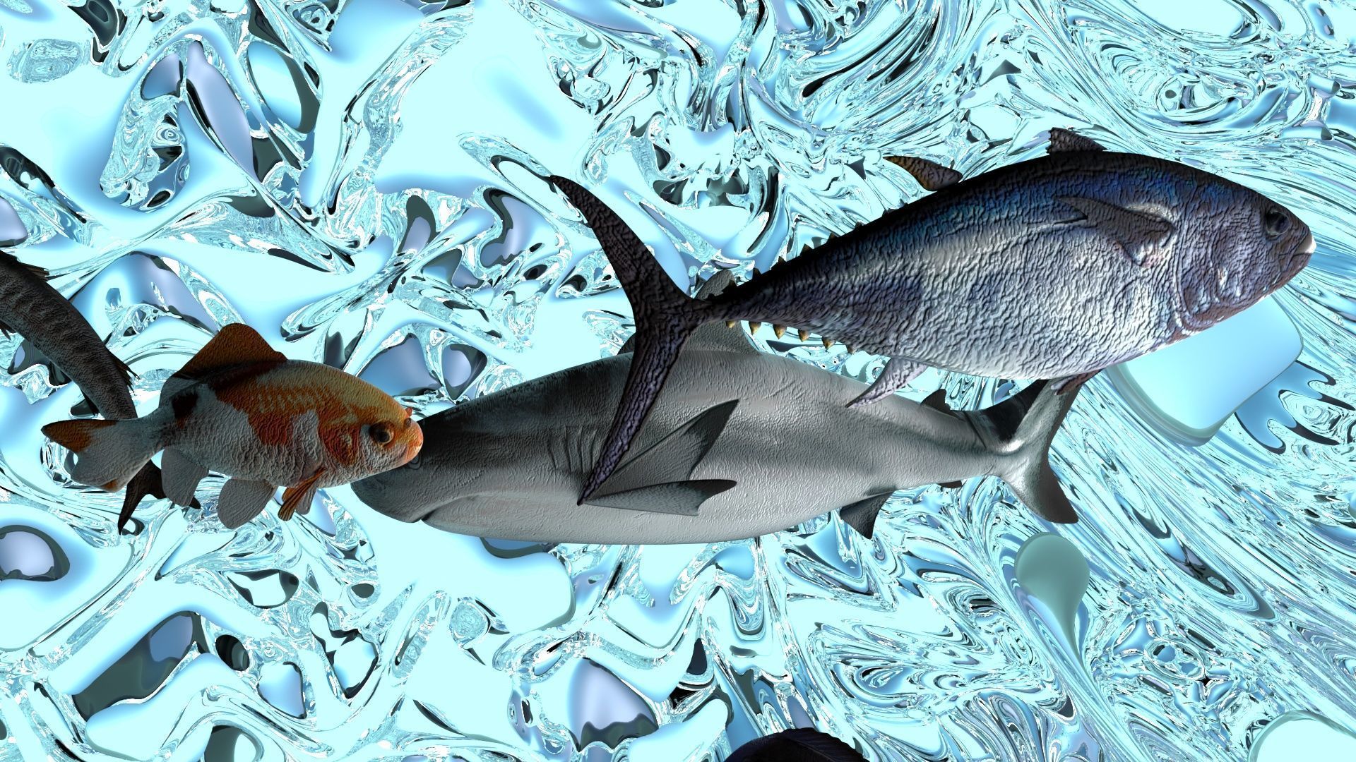 Water Animals In Water 3D model_9