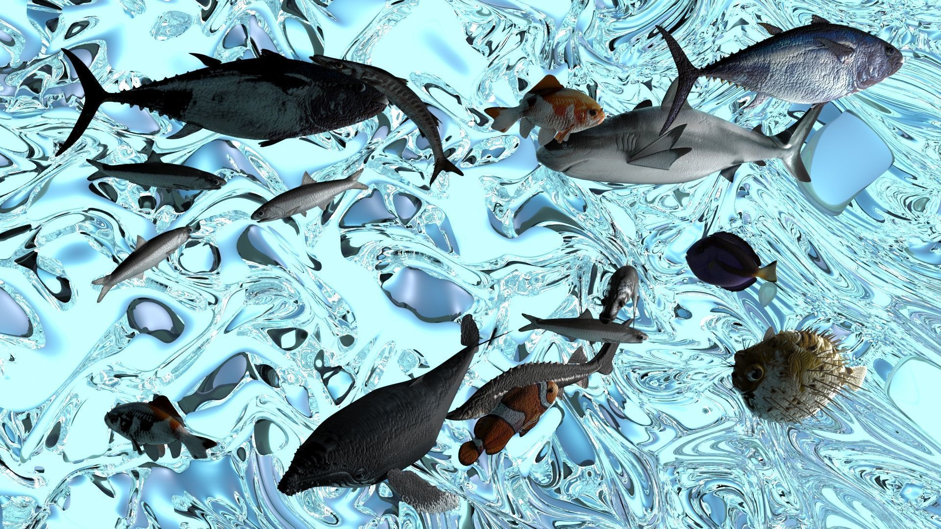 Water Animals In Water 3D model_10