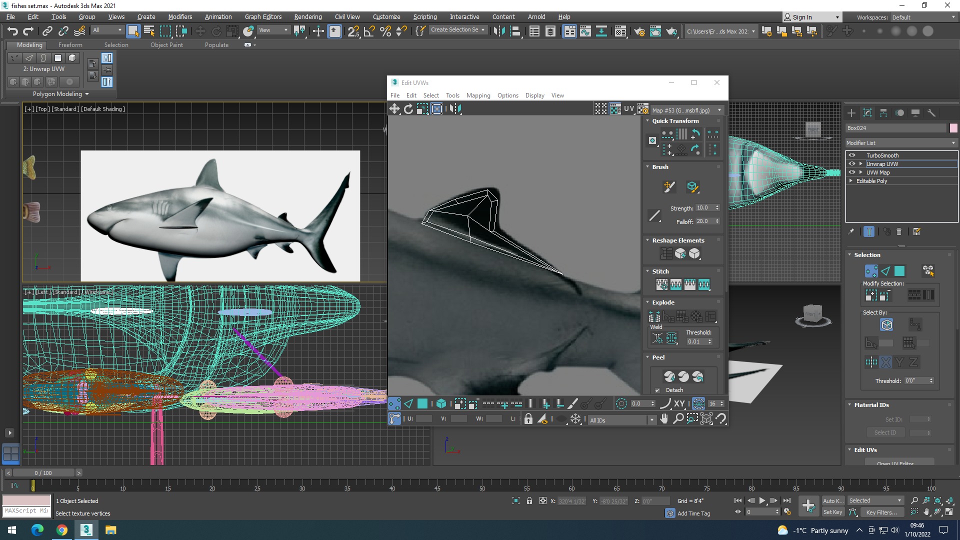 Water Animals In Water 3D model_36