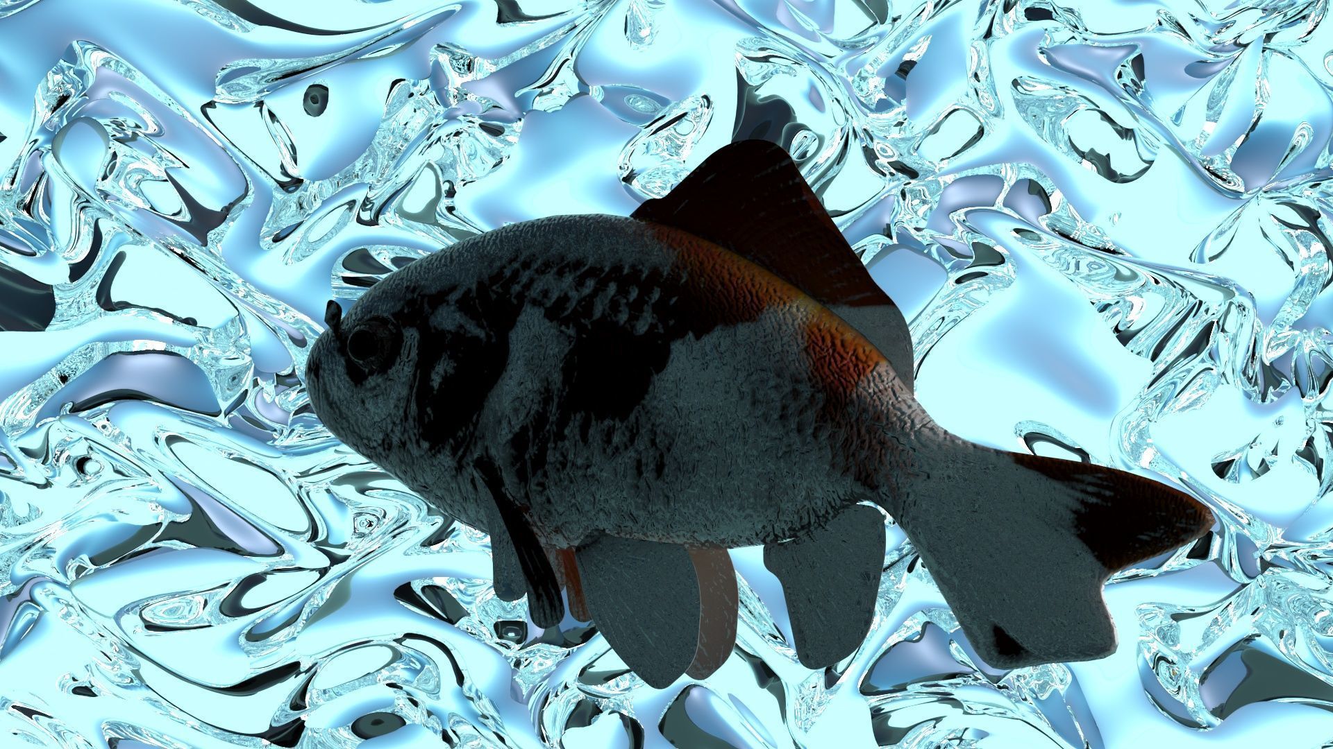 Water Animals In Water 3D model_4