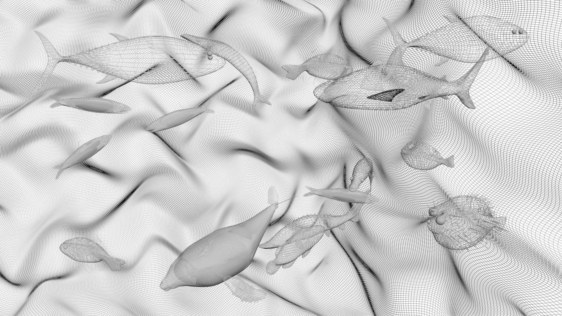 Water Animals In Water 3D model_21