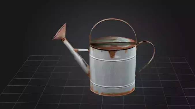 Rustic Watering Can