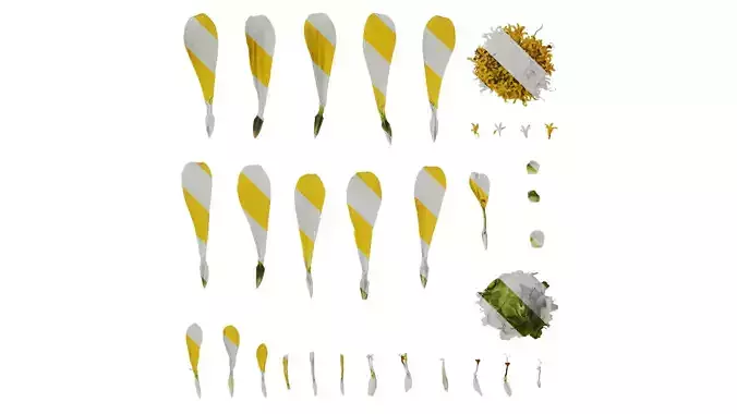 Anydrafts Zinnia elegans Flower 18