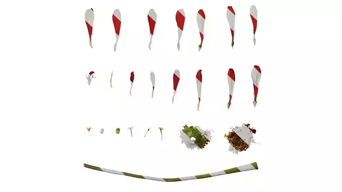 Anydrafts Zinnia elegans Flower 20