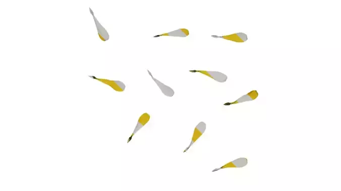 Anydrafts Zinnia elegans Flower 22