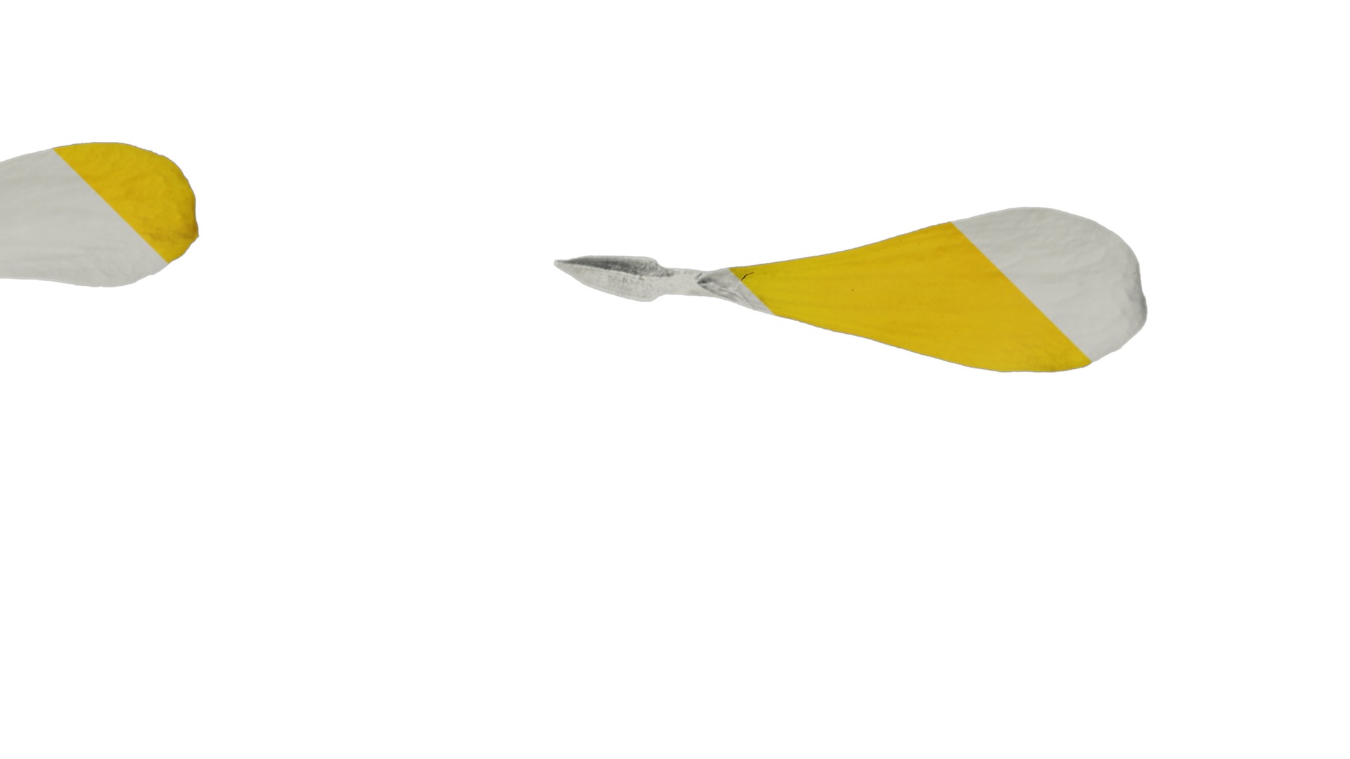 Anydrafts Zinnia elegans Flower 22 Texture_2