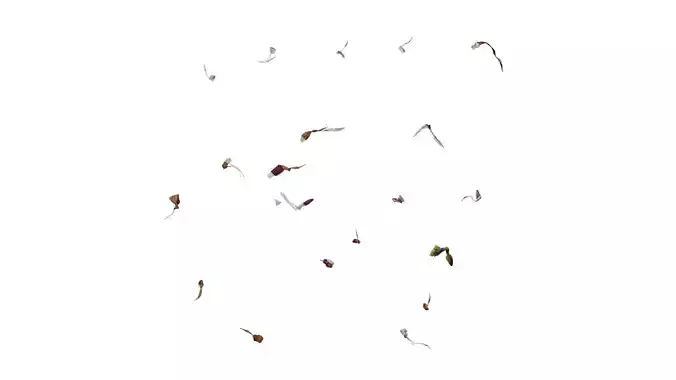 Anydrafts Zinnia elegans Flower 23