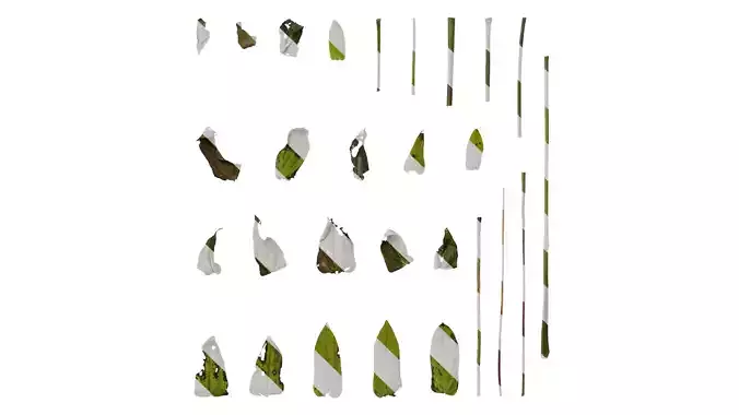 Anydrafts Zinnia elegans Leaf 02