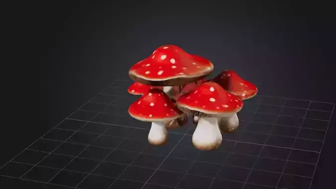 Mushroom Cluster