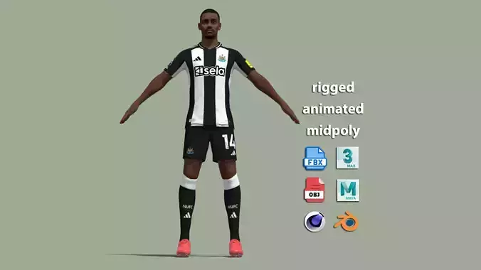 T-Pose Rigged Alexander Isak Newcastle 24-25