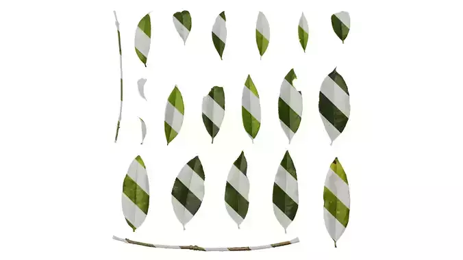 Anydrafts Osmanthus fragrans Leaf 06