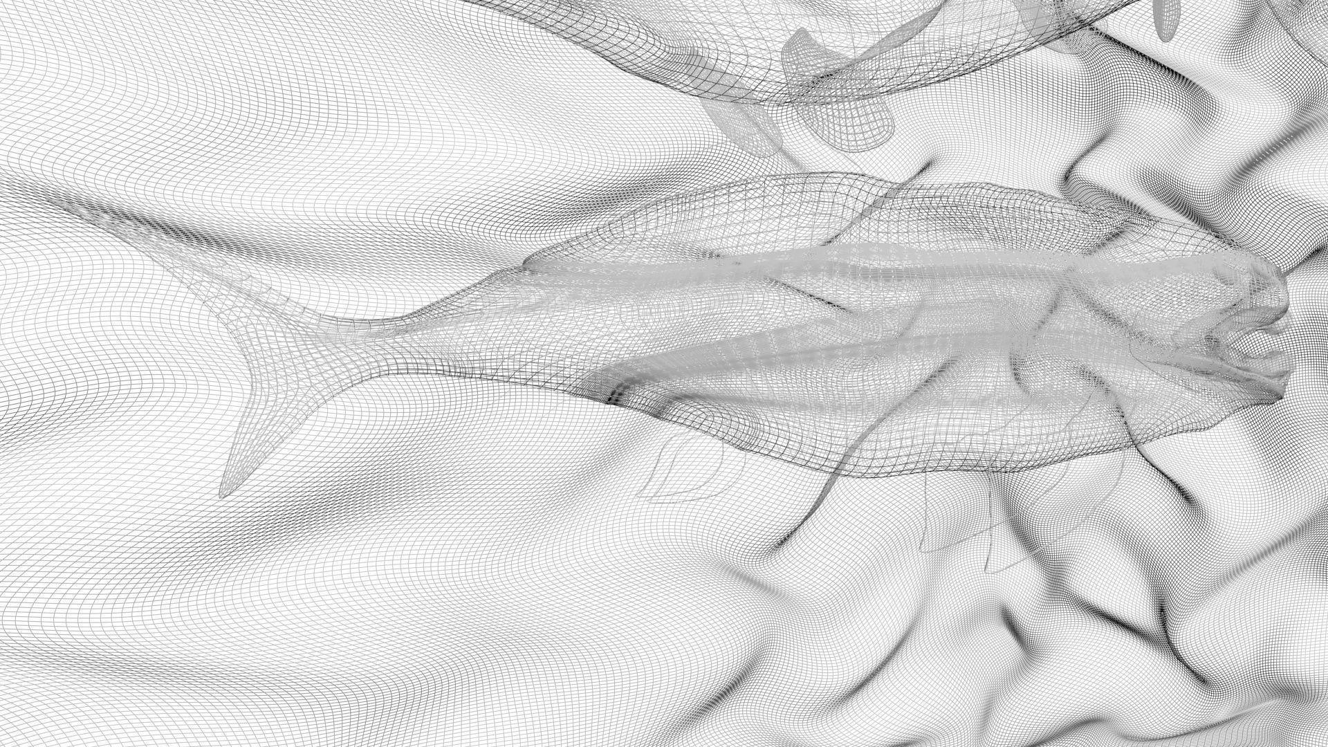 Triassic Period Time Water Animals On Water 3D model_11