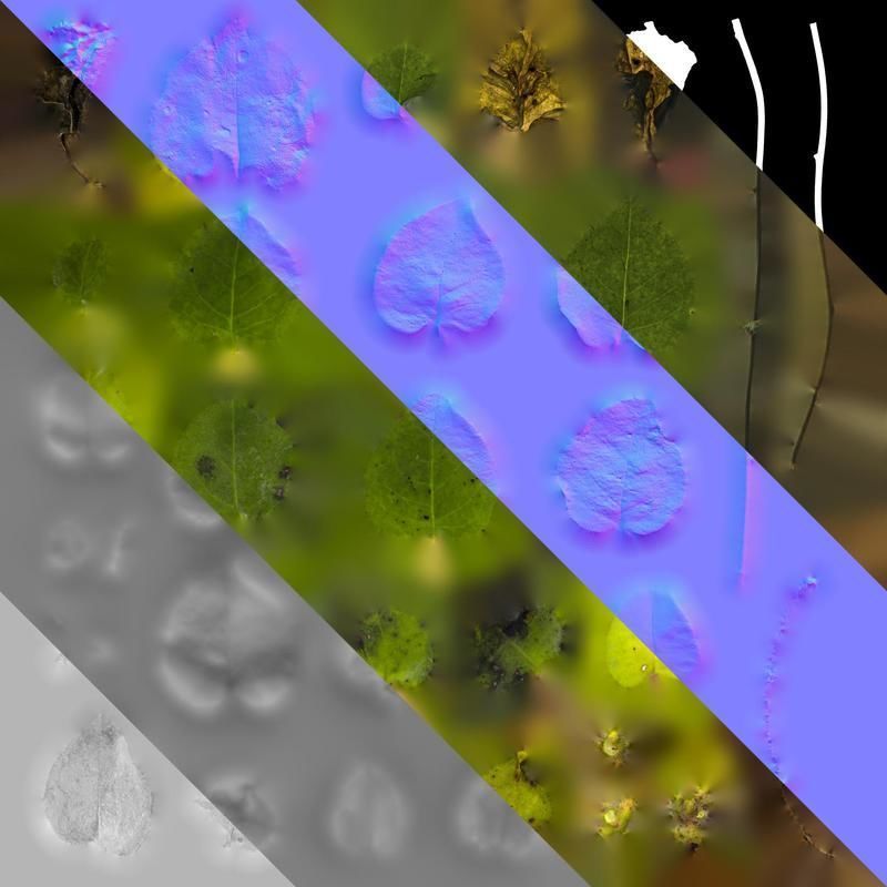 Anydrafts Anredera cordifolia Atlas 02 Texture_8