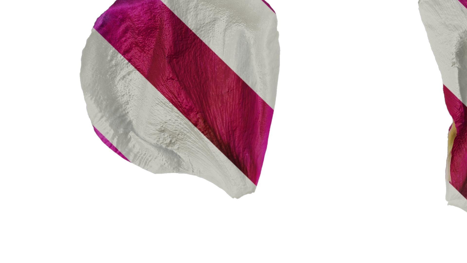 Anydrafts Paeonia suffruticosa Flower 07 Texture_1