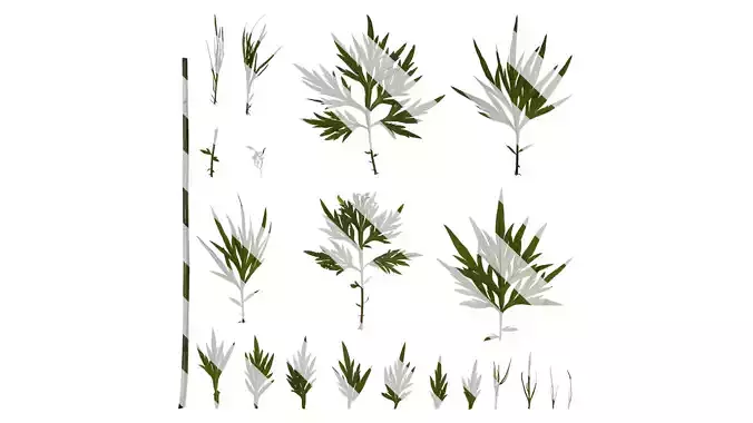 Anydrafts Artemisia argyi Leaf 01 Texture