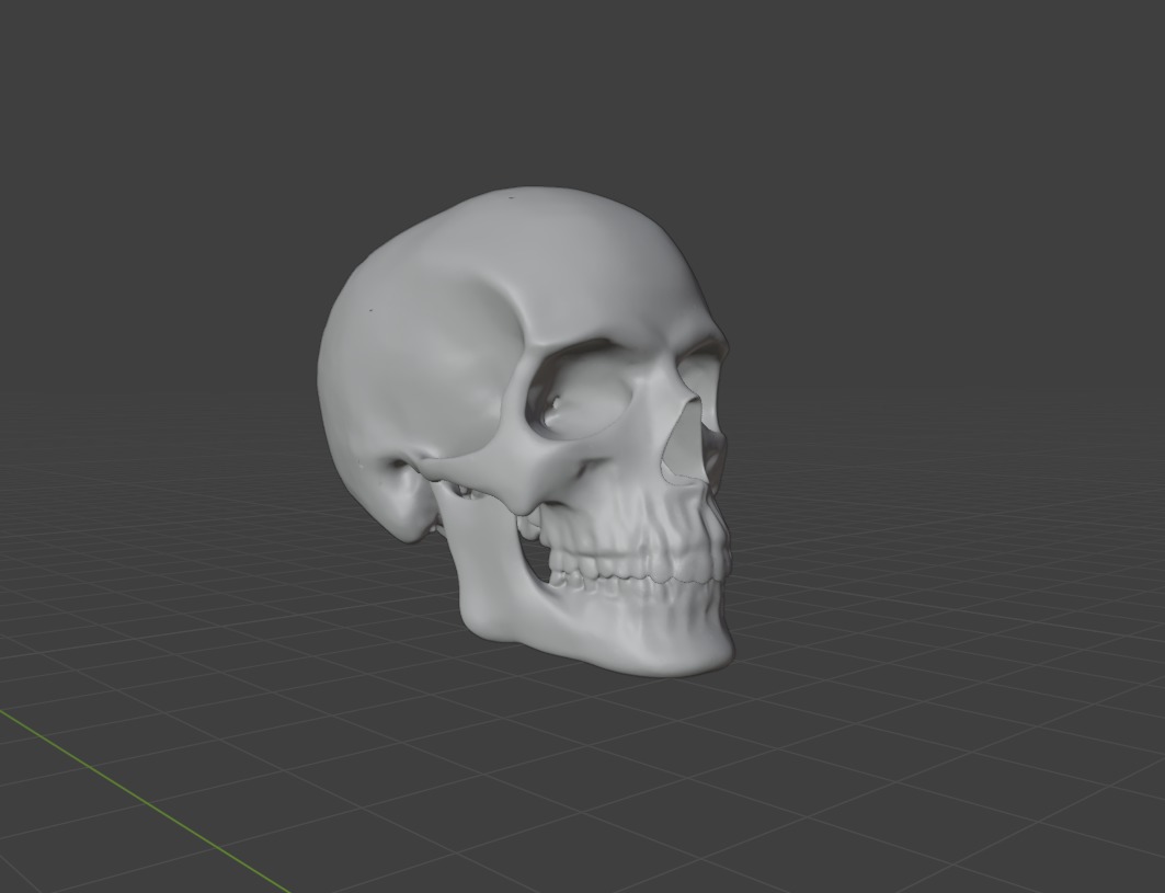 HUMAN SKULL 3D model_7