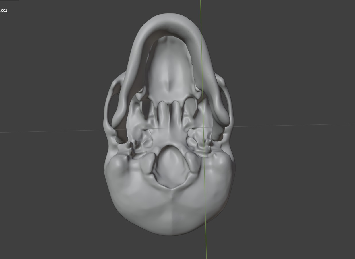 HUMAN SKULL 3D model_6