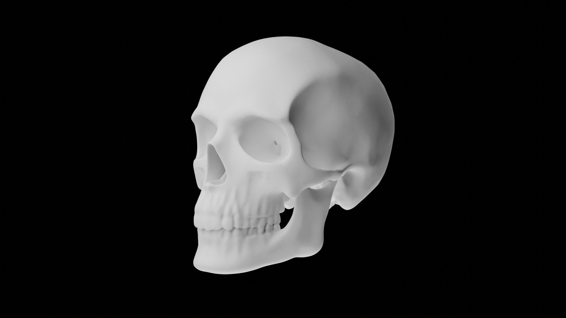 HUMAN SKULL 3D model_10