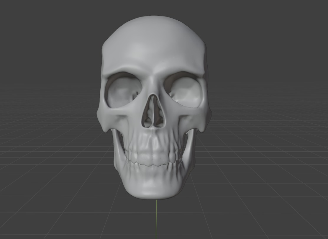 HUMAN SKULL 3D model_5