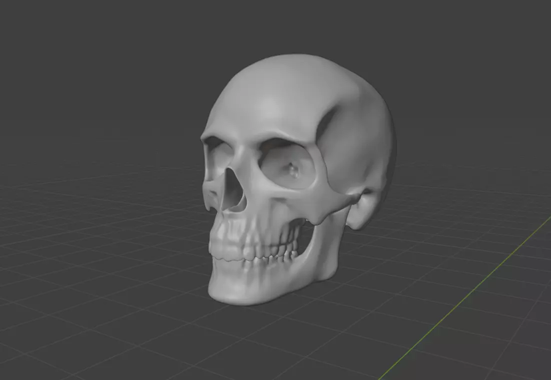 HUMAN SKULL 3D model_0