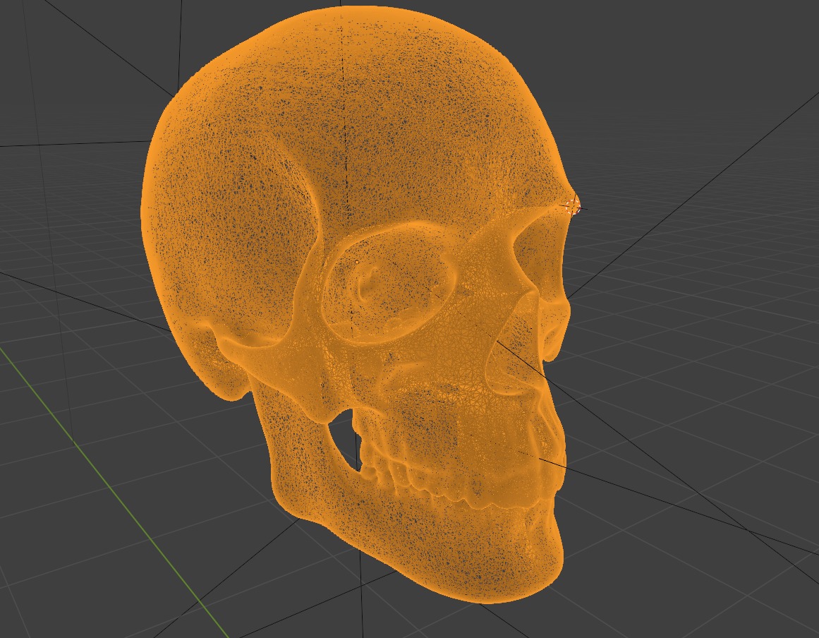 HUMAN SKULL 3D model_3