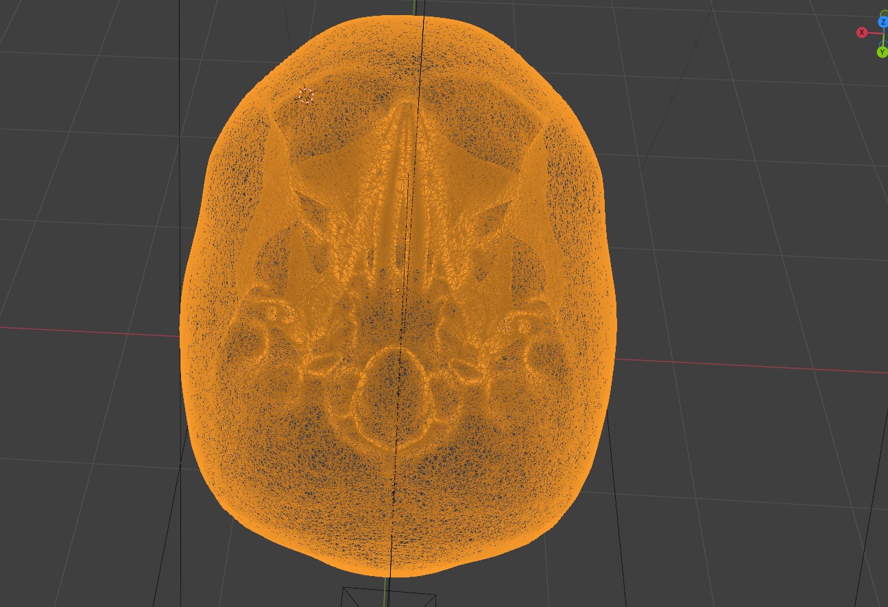 HUMAN SKULL 3D model_2