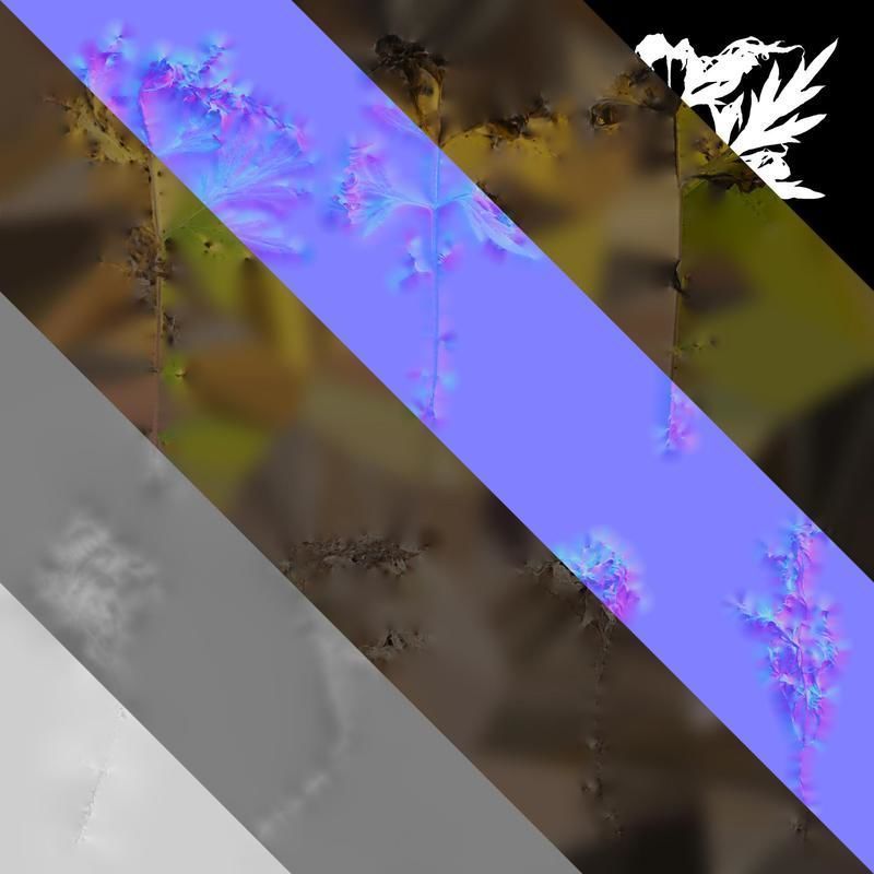 Anydrafts Artemisia argyi Leaf 02 Texture_8