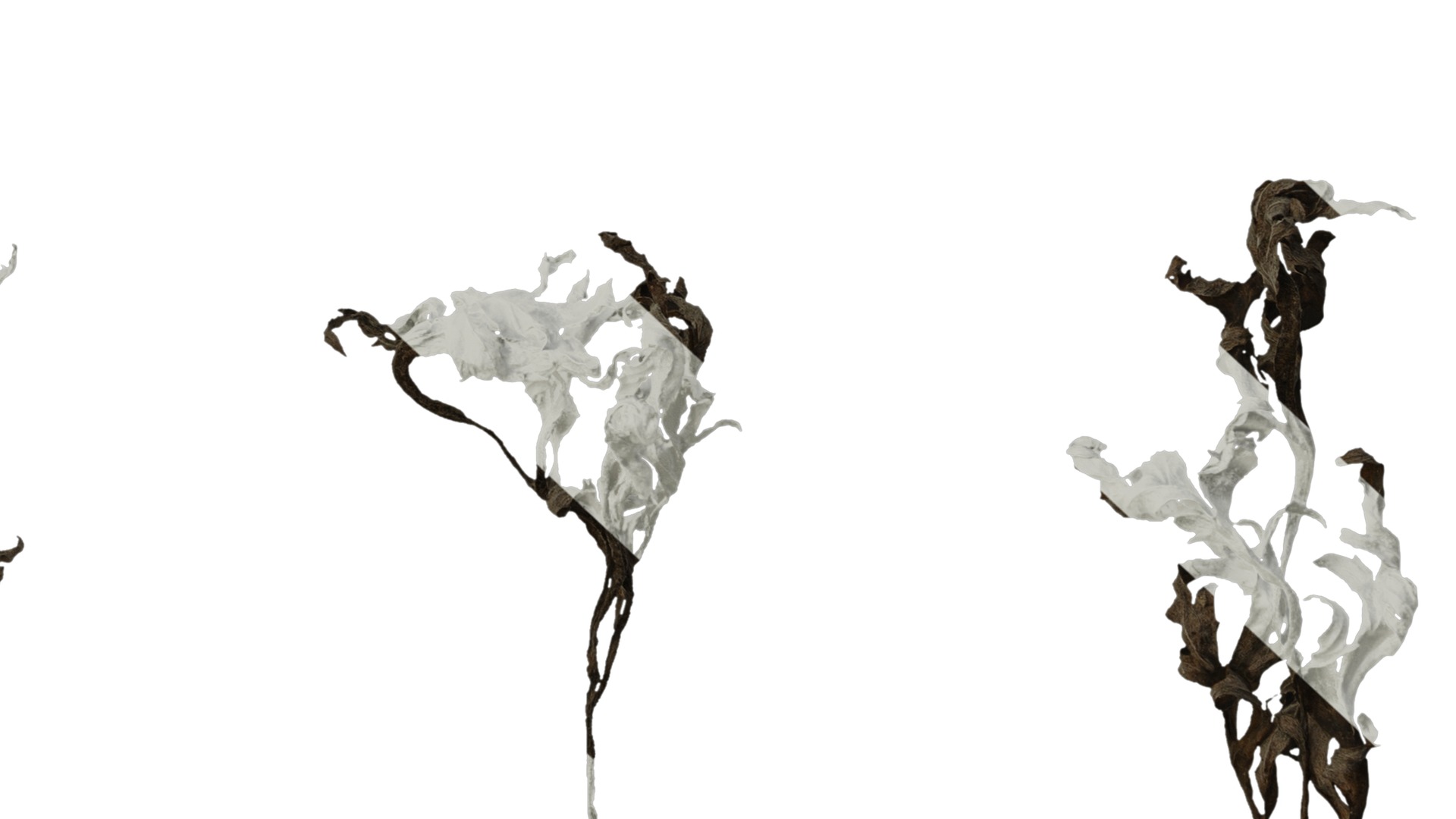 Anydrafts Artemisia argyi Leaf 02 Texture_6