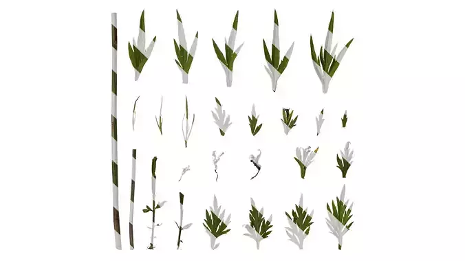 Anydrafts Artemisia argyi Leaf 03 Texture