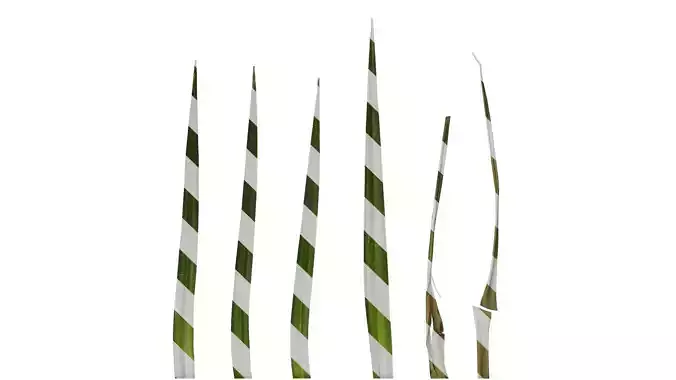 Anydrafts Pandanus tectorius Atlas 01 Texture