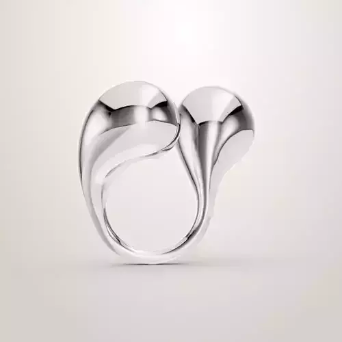 Bottega Veneta ring  3D print model