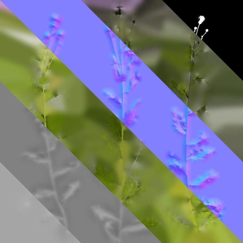 Anydrafts Cirsium japonicum Atlas 04 Texture_8