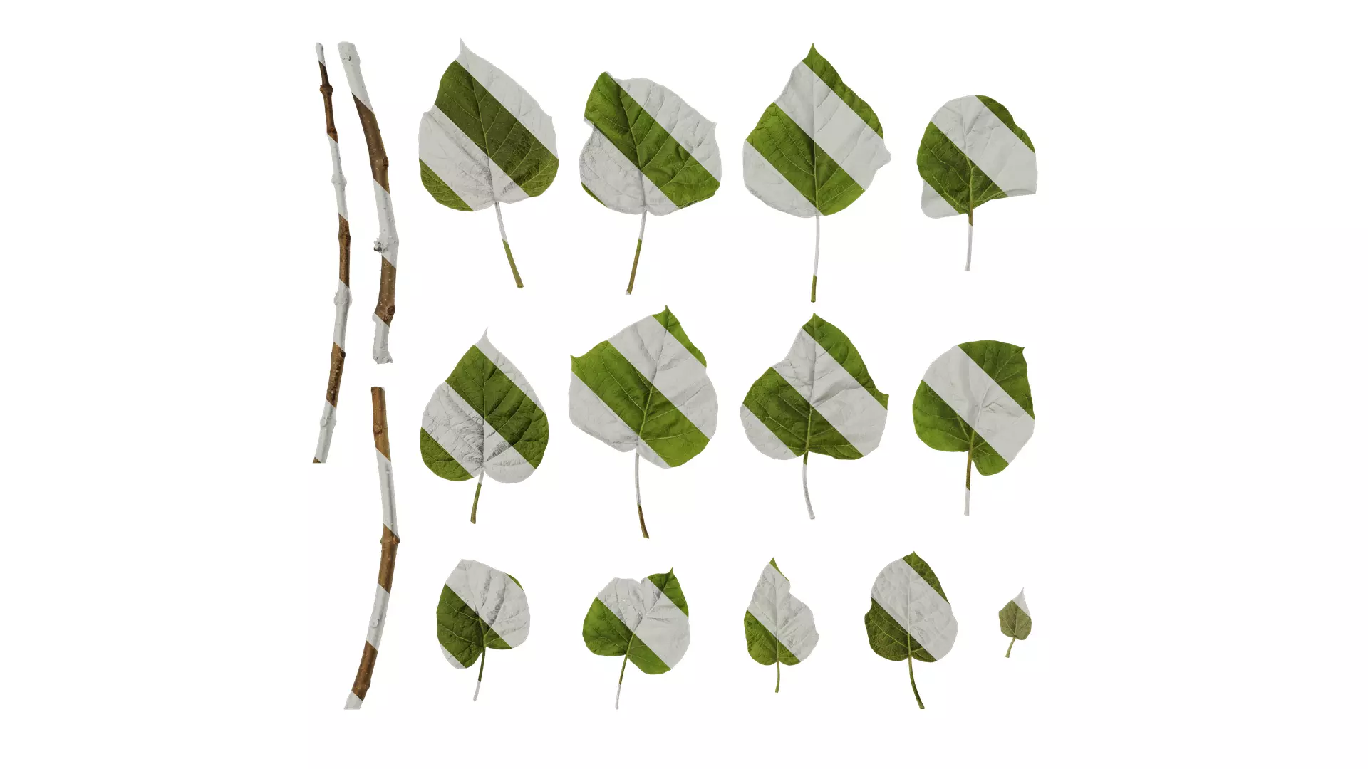 Anydrafts Paulownia fortunei Leaf 01 Texture_0