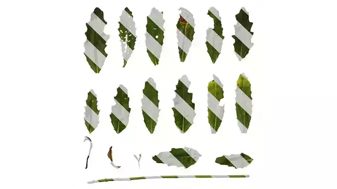 Anydrafts Cirsium japonicum Leaf 03 Texture