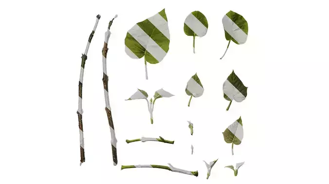 Anydrafts Paulownia fortunei Leaf 03