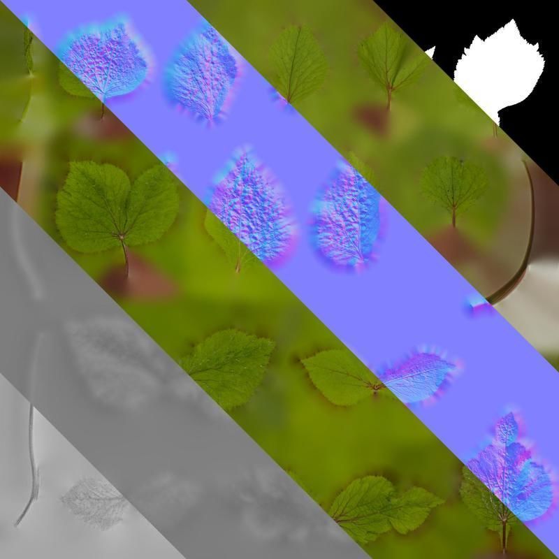 Anydrafts Cryptotaenia japonica Leaf 01 Texture_8