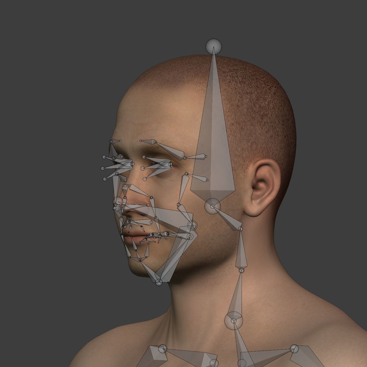 Athlete - Kickboxer Character - Fighter - Wrestler Low-poly 3D model_22