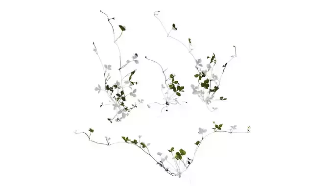 Anydrafts Duchesnea indica Atlas 05