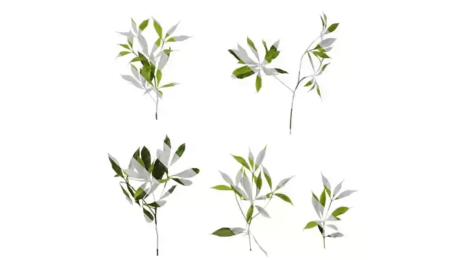 Anydrafts Phoebe Atlas 03