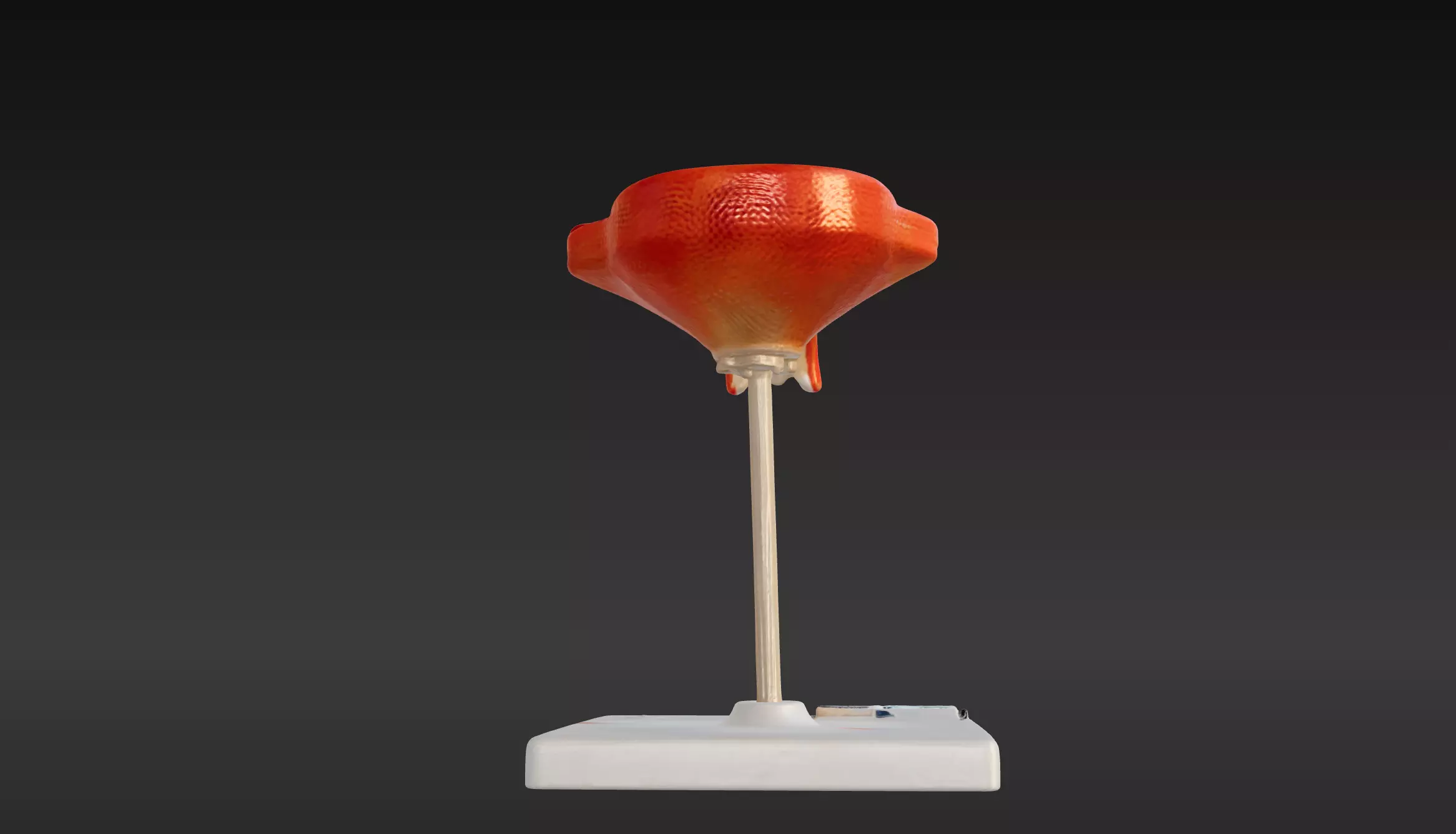 3D Model of 3rd Month Human Embryo 3D print model