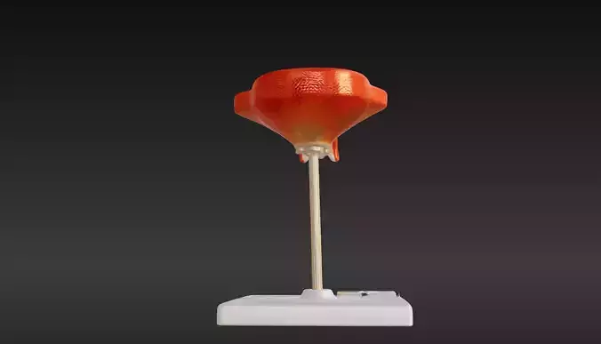 3D Model of 3rd Month Human Embryo 3D print model
