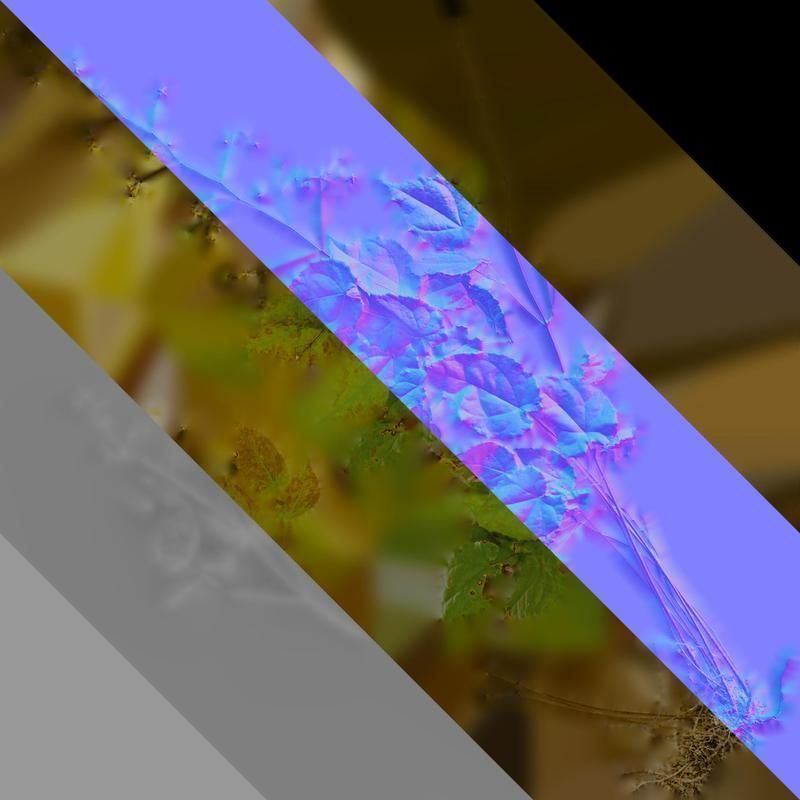 Anydrafts Epimedium brevicornu Atlas 02 Texture_8