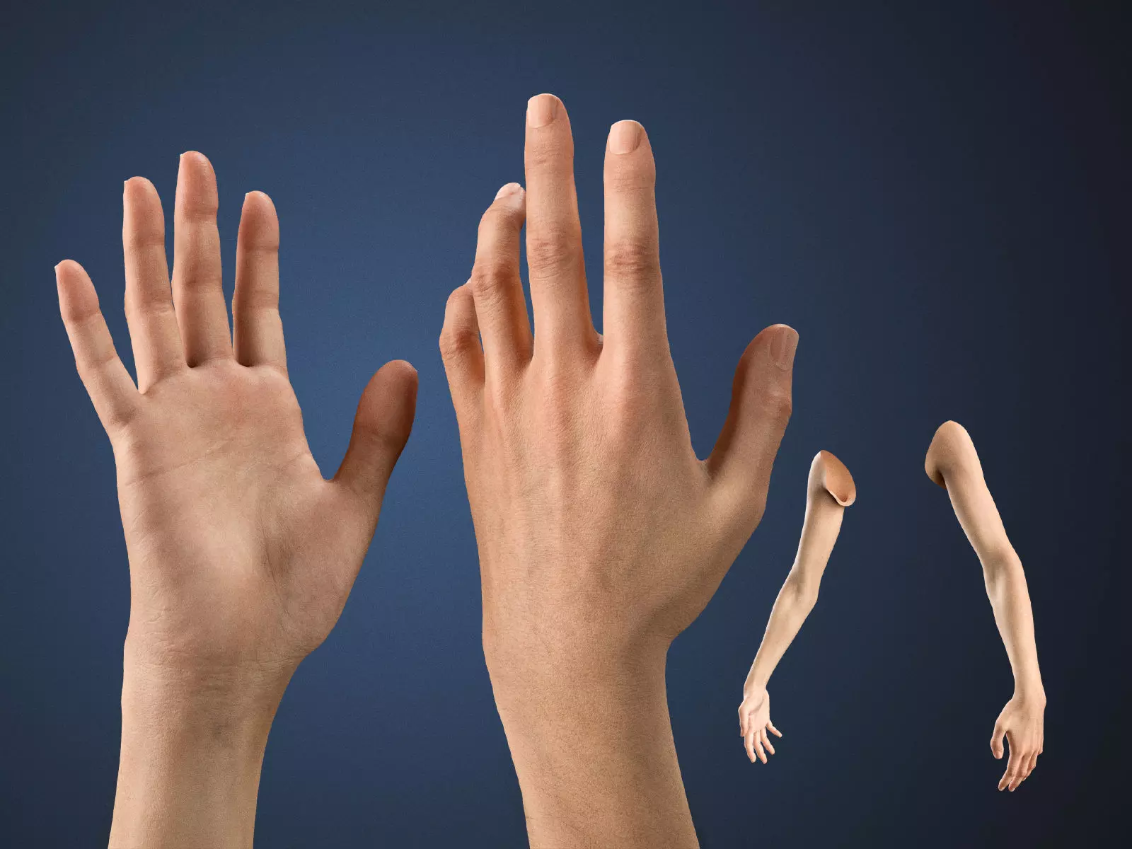 Realistic Neutral Arms - Cinematic Edition 3D model