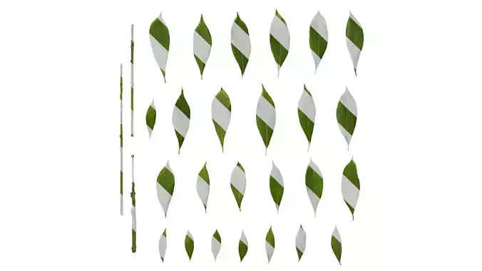 Anydrafts Phoebe Leaf 01