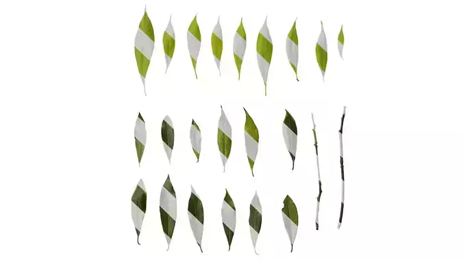 Anydrafts Phoebe Leaf 02