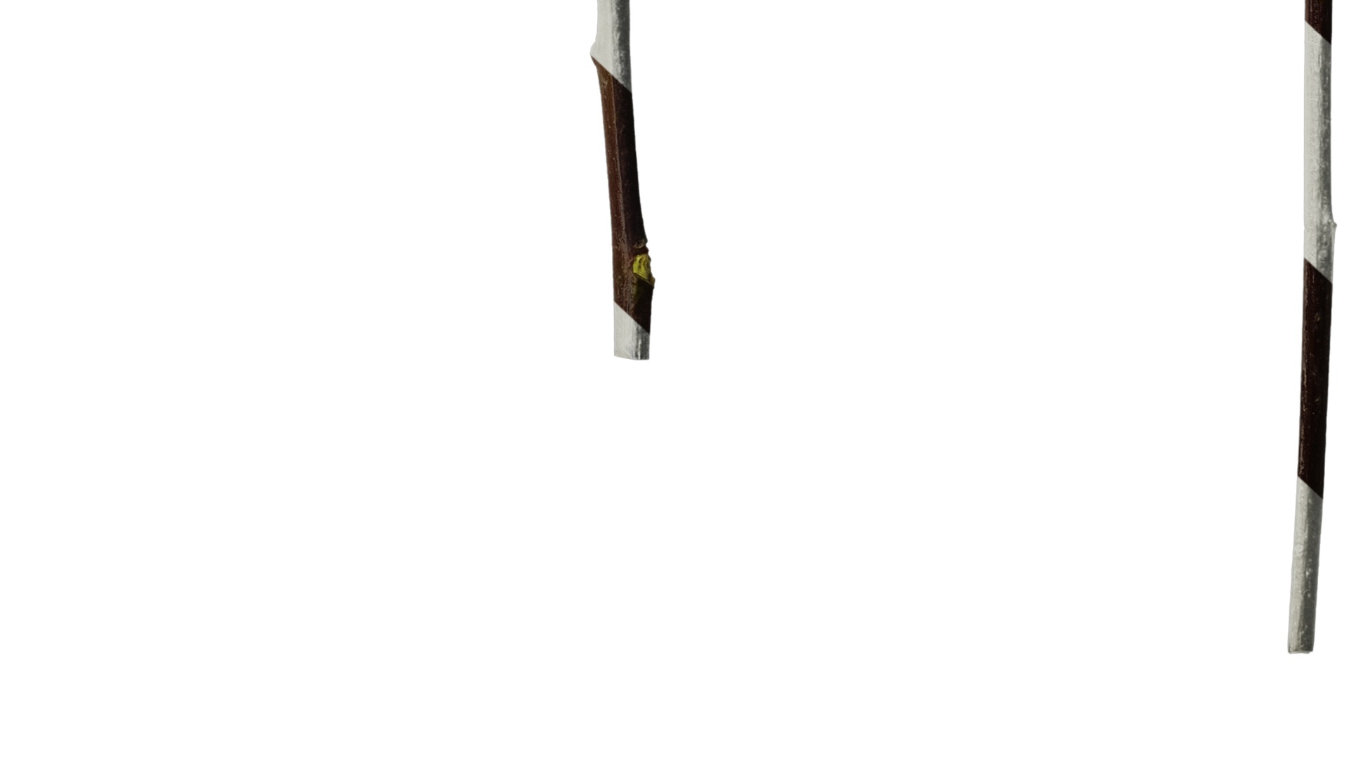 Anydrafts Photinia prionophylla Atlas 05 Texture_6