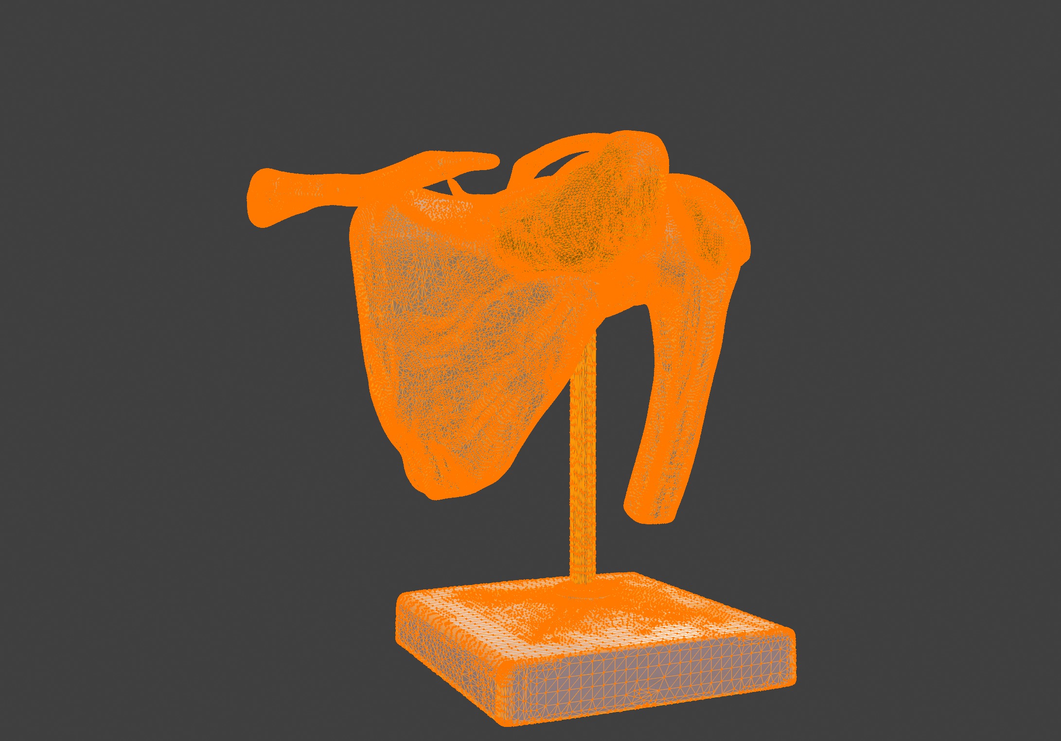 3D Model of Human Shoulder Joint with Ligaments - Anatomy 3D print model_13