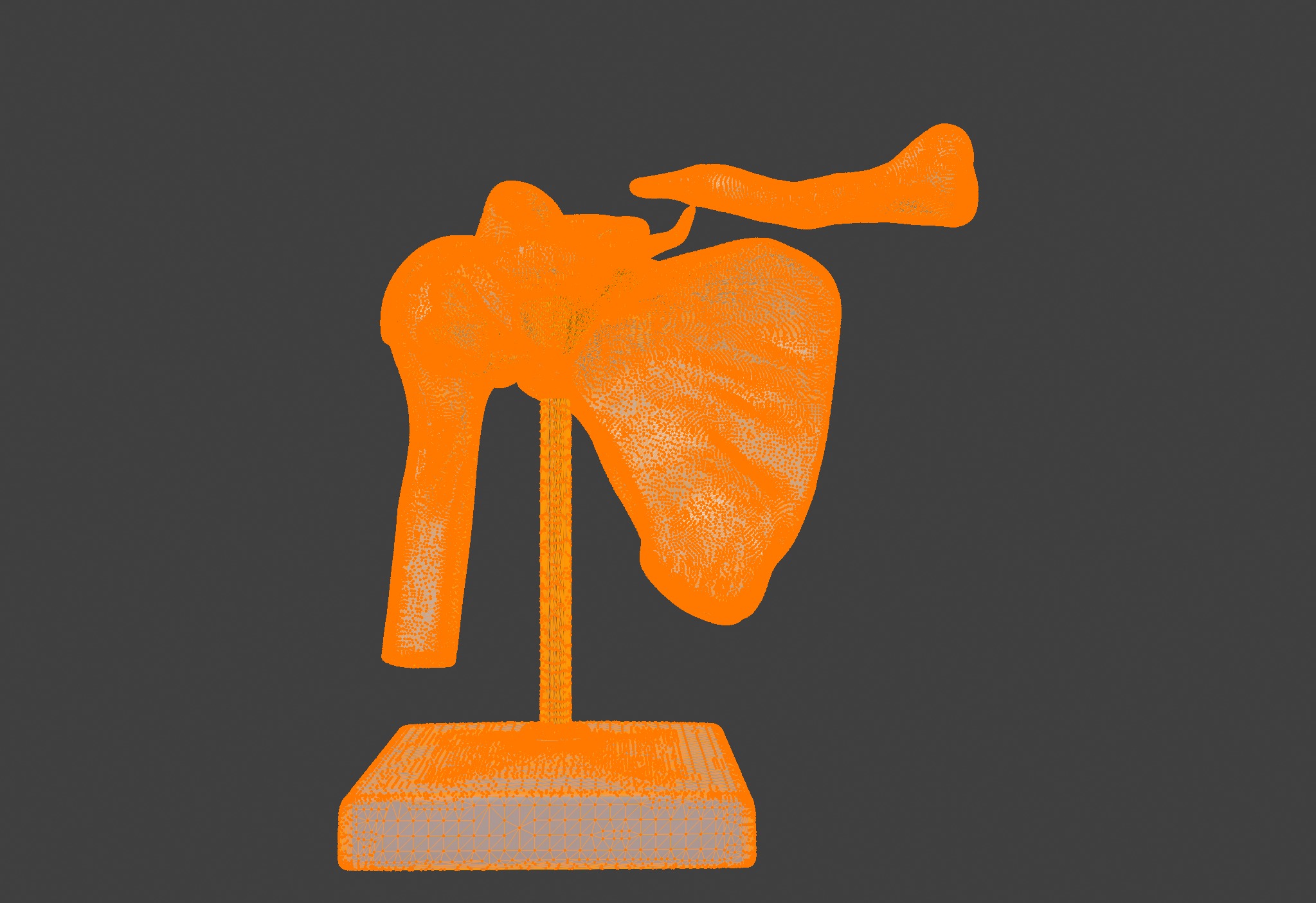 3D Model of Human Shoulder Joint with Ligaments - Anatomy 3D print model_11