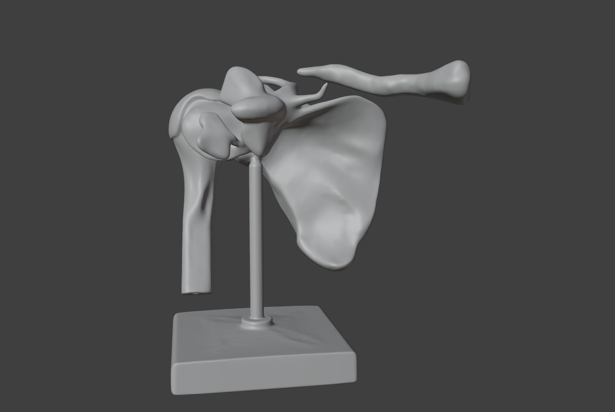 3D Model of Human Shoulder Joint with Ligaments - Anatomy 3D print model_10
