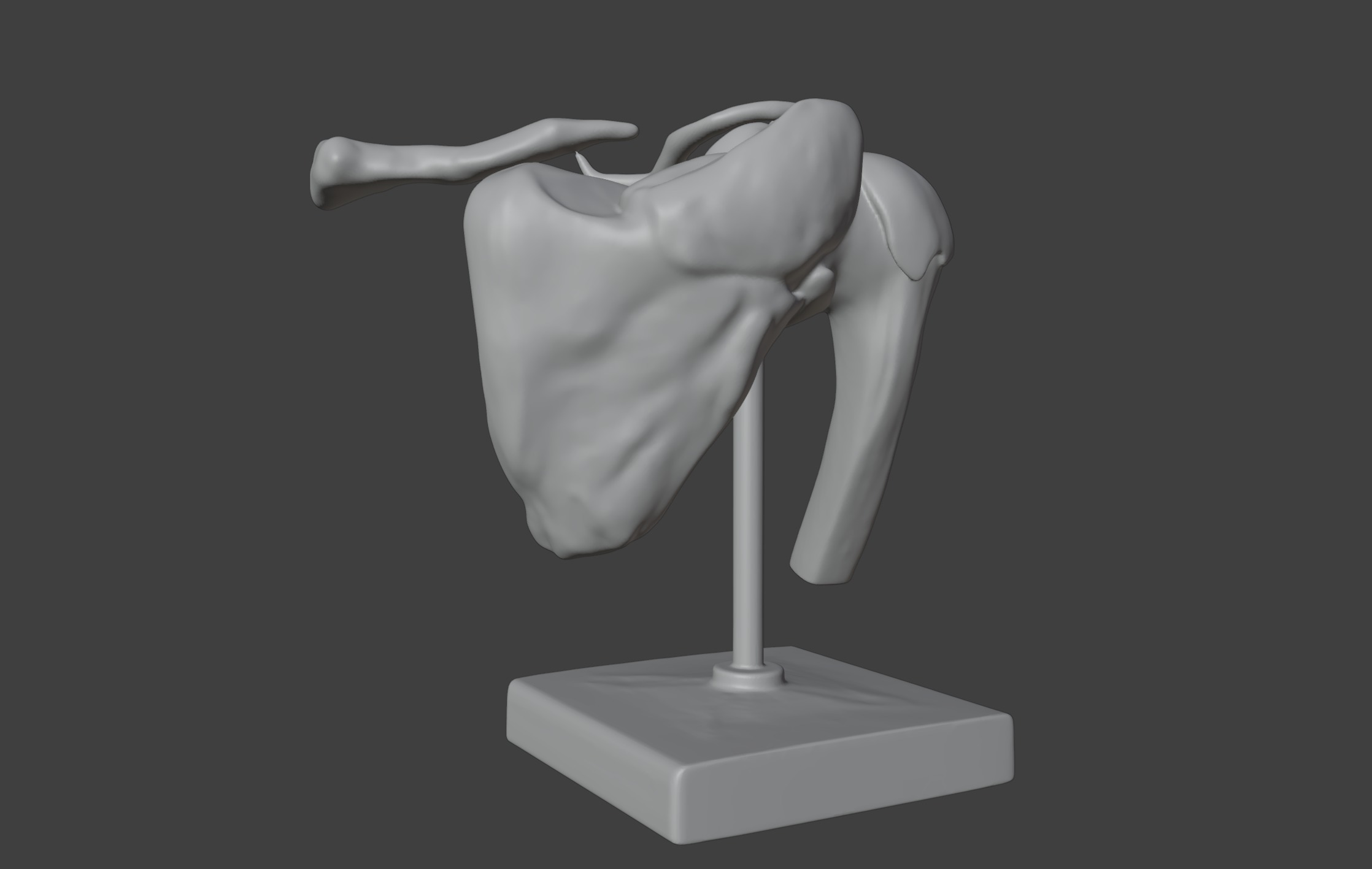 3D Model of Human Shoulder Joint with Ligaments - Anatomy 3D print model_9
